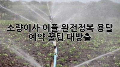 📦 소량이사 어플 완전정복! 용달 예약 꿀팁 대방출 🍯